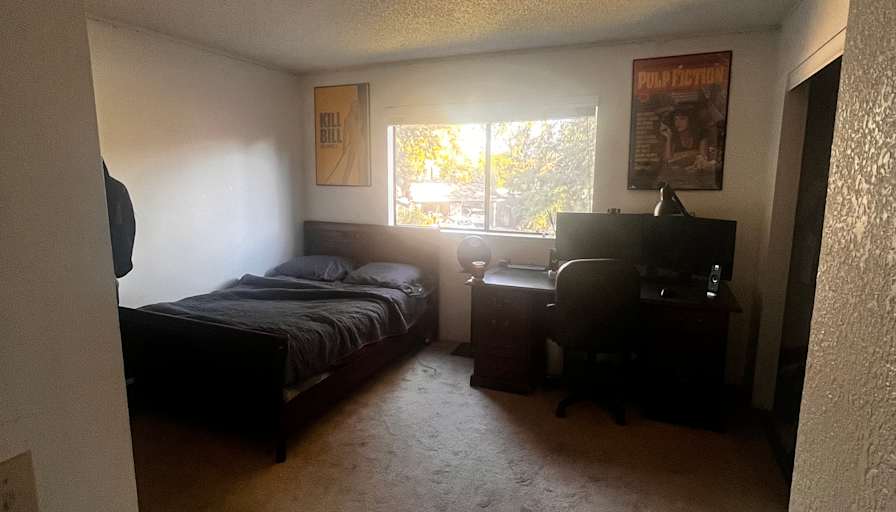 Juliet Halliday's room