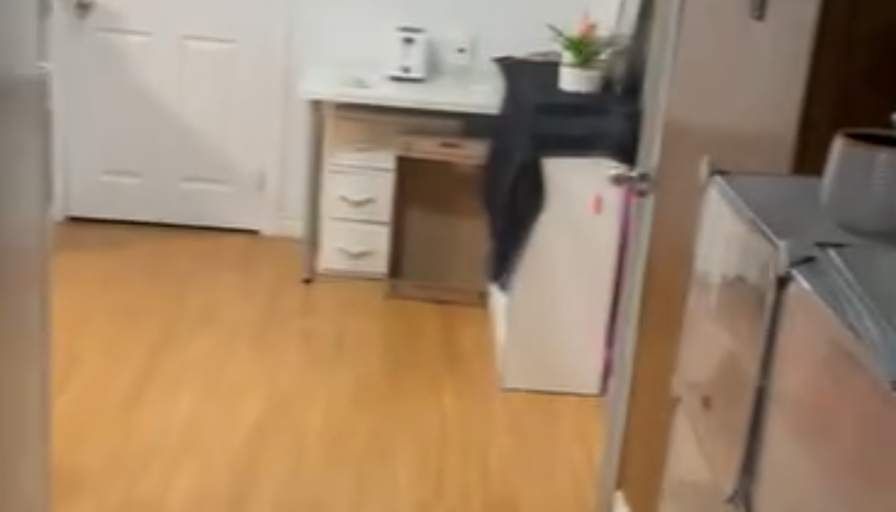 Saida's room