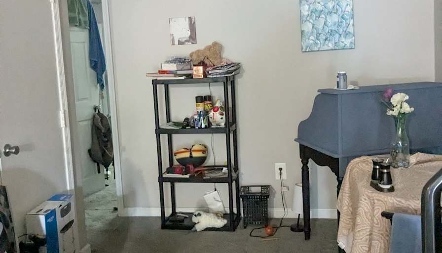 Andrea's room