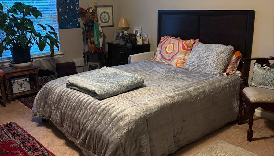 Roozbeh Dehgahi's room