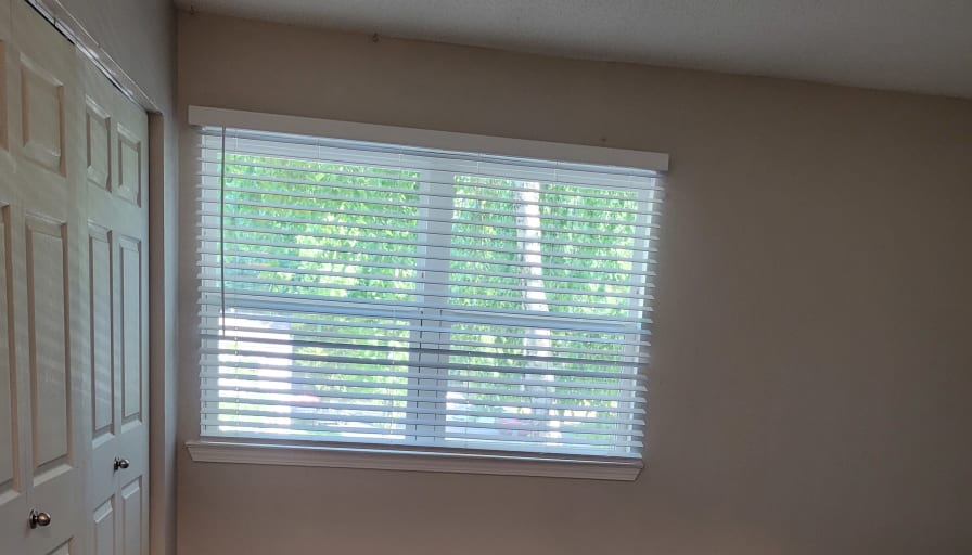 Hadja's room