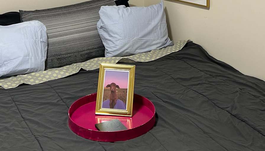 Abigail's room
