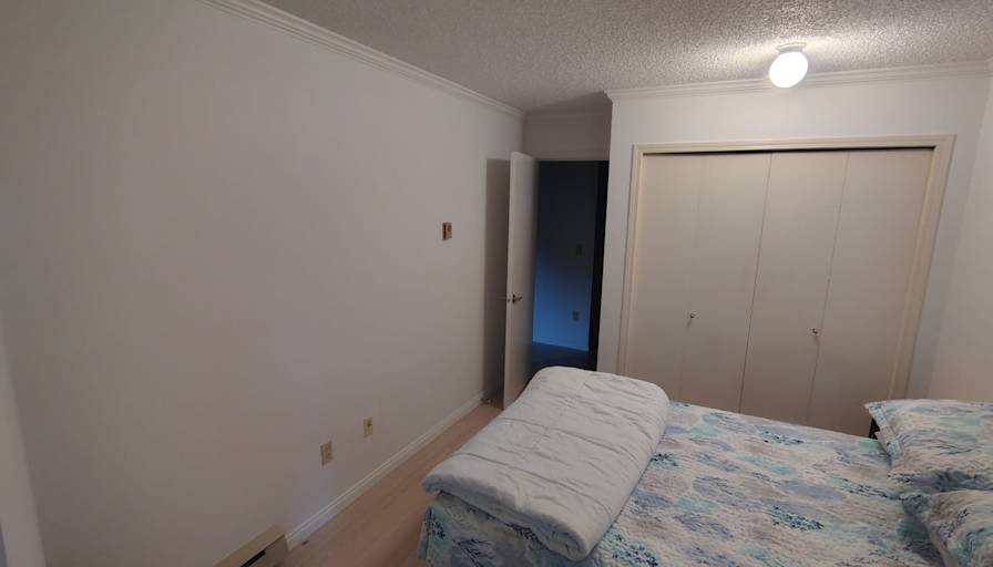 Mikko and Bowie's room