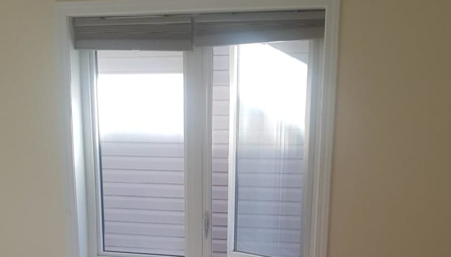 Shaheen's room