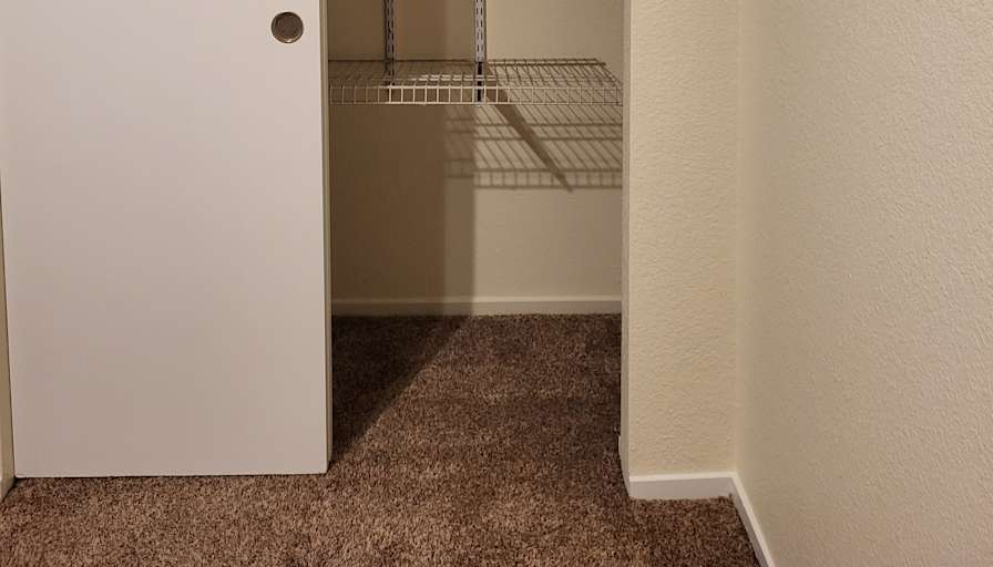 Mary's room