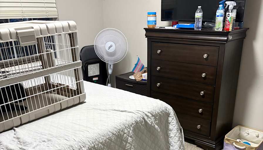 Cyrus Turnbull's room