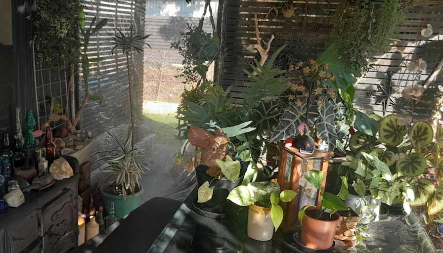 Kevin Lang's room