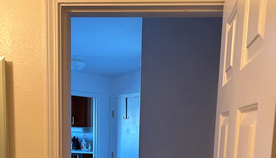 Sarah's room