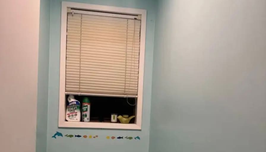 Shawn's room