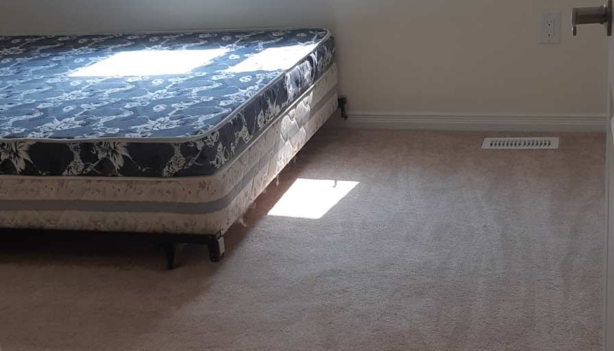 Shaheen's room