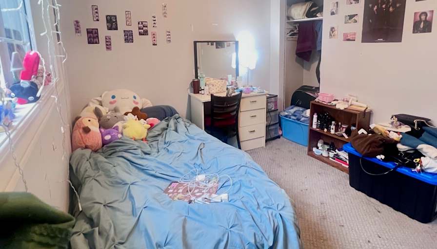 Sahana Sasikumar's room