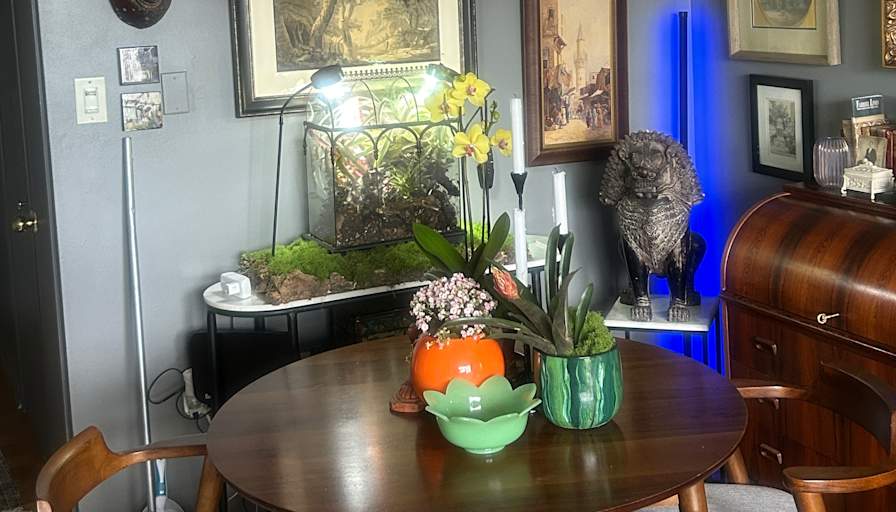 Stuart's room