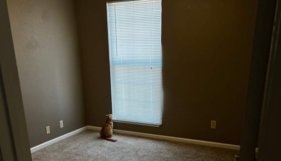 Lauren's room