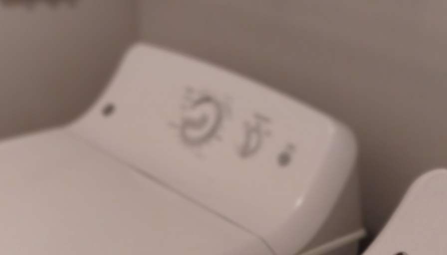 Prince's room