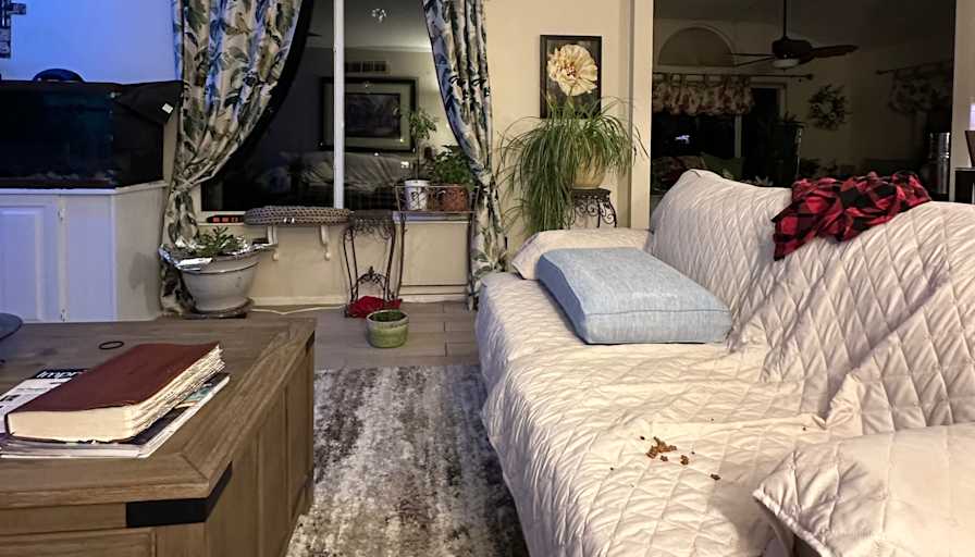 Leslie's room