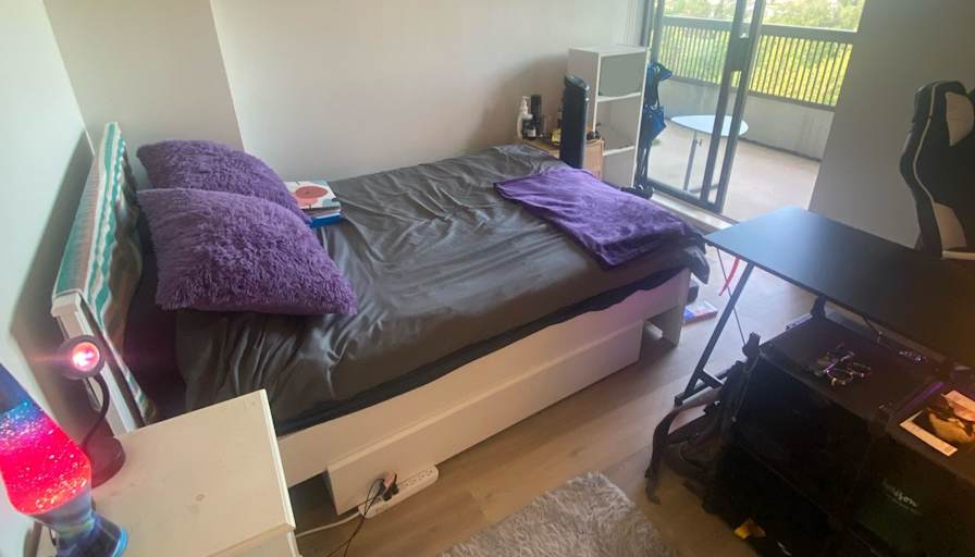 Mehdi's room