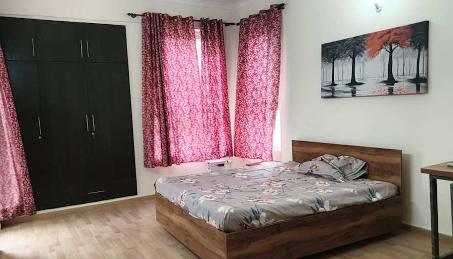 Divyanshi's room