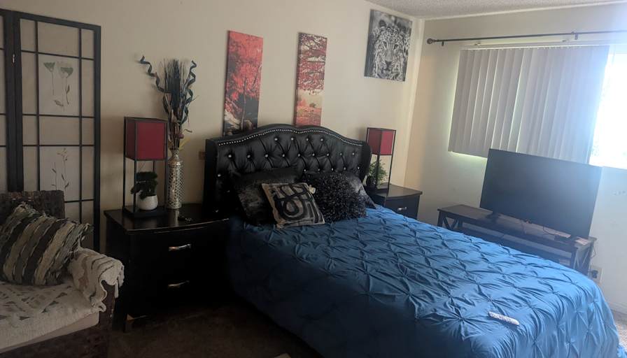Leonardo's room