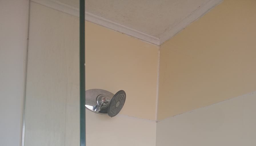 Sacha Nunn's room