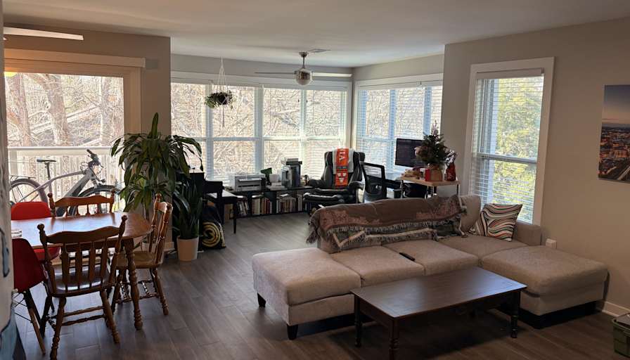 Stephen's room