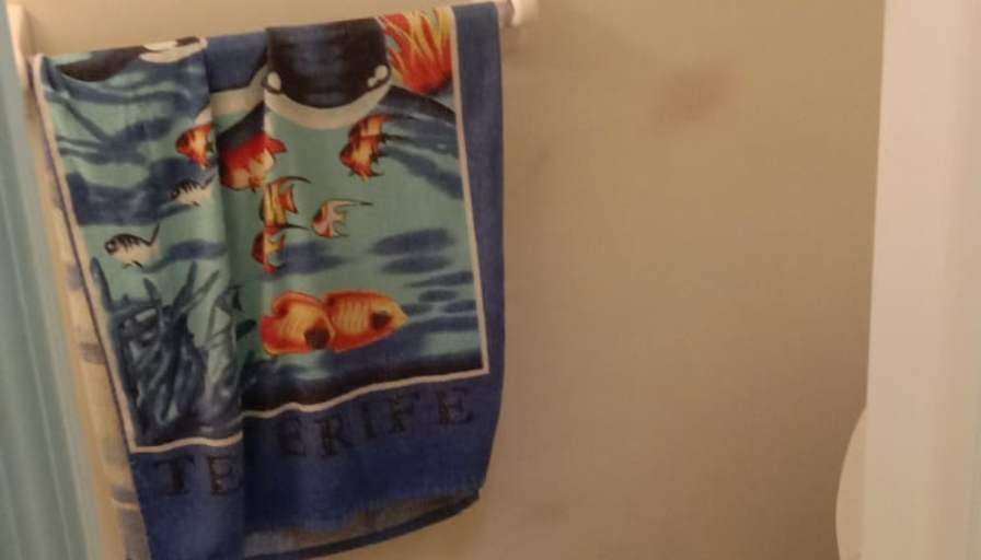 Shaheen's room