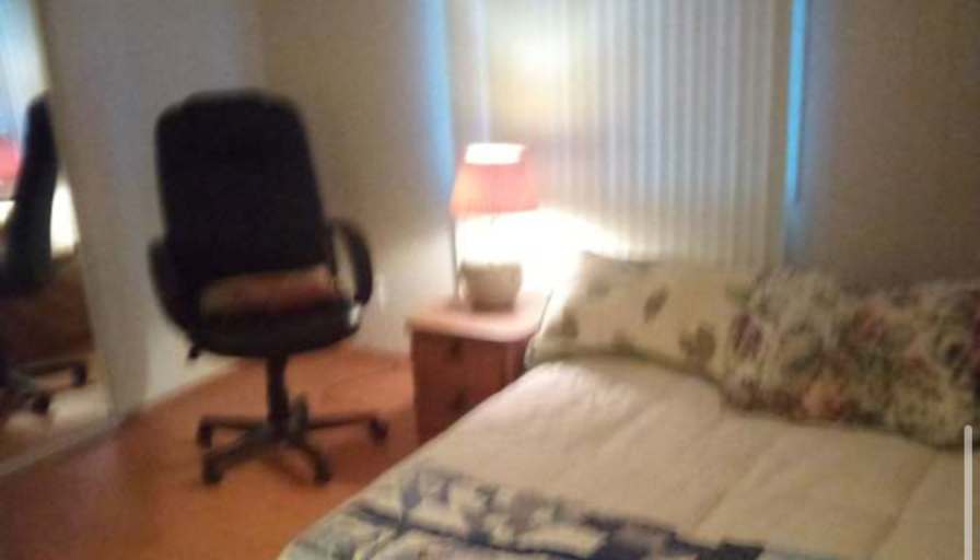 Lynn's room