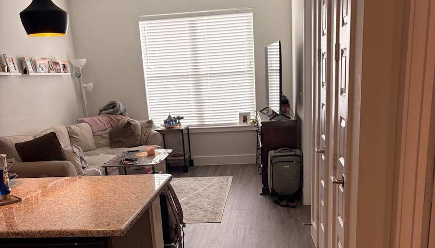 Sahar's room