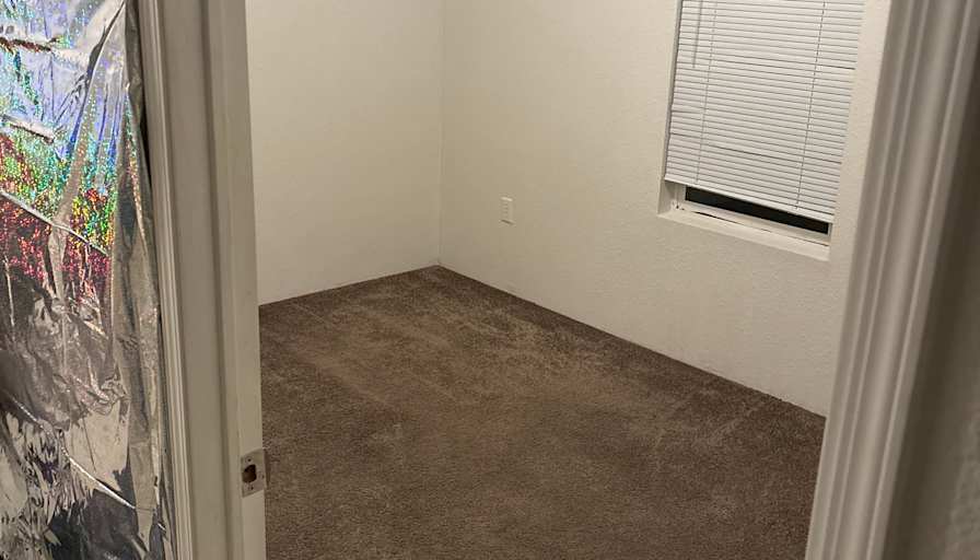 Gheegee's room
