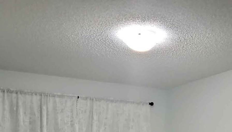 Llariza Camacho's room