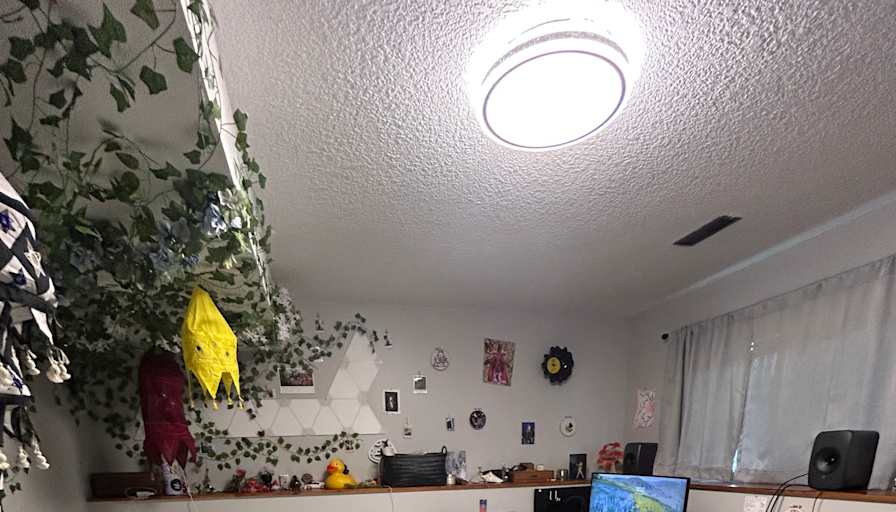 Mila's room