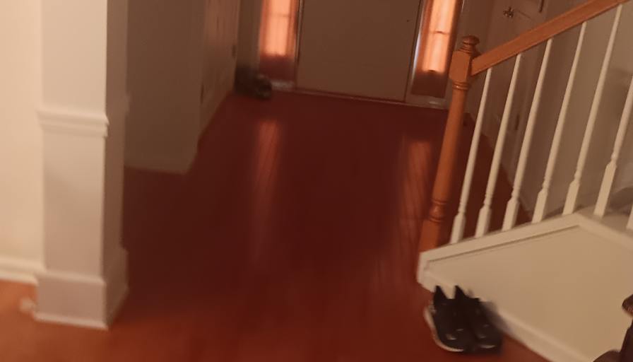 Joey kaminowitz's room
