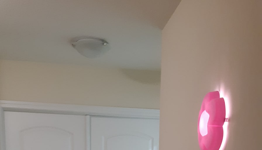 Shaheen's room