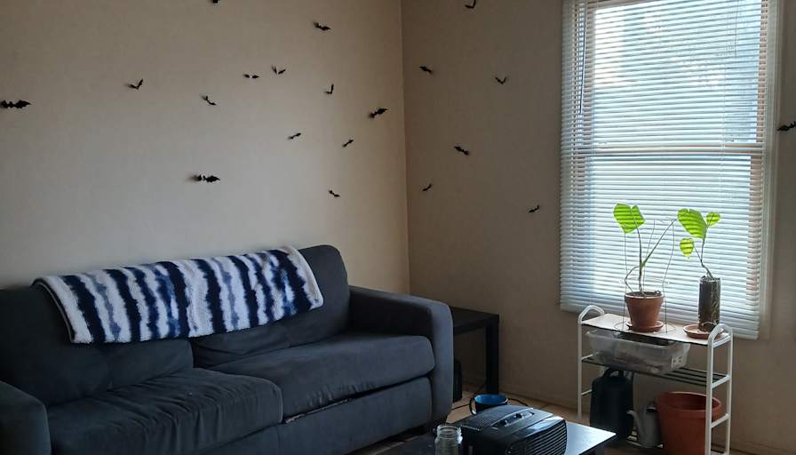 J's room