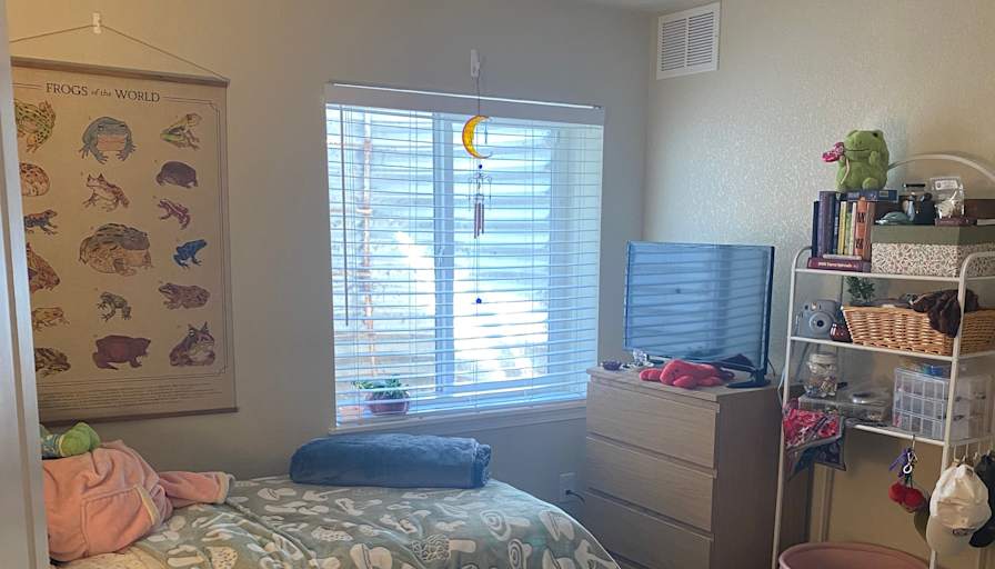 Andie's room