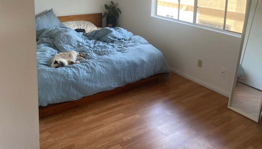 Nick Alcock's room