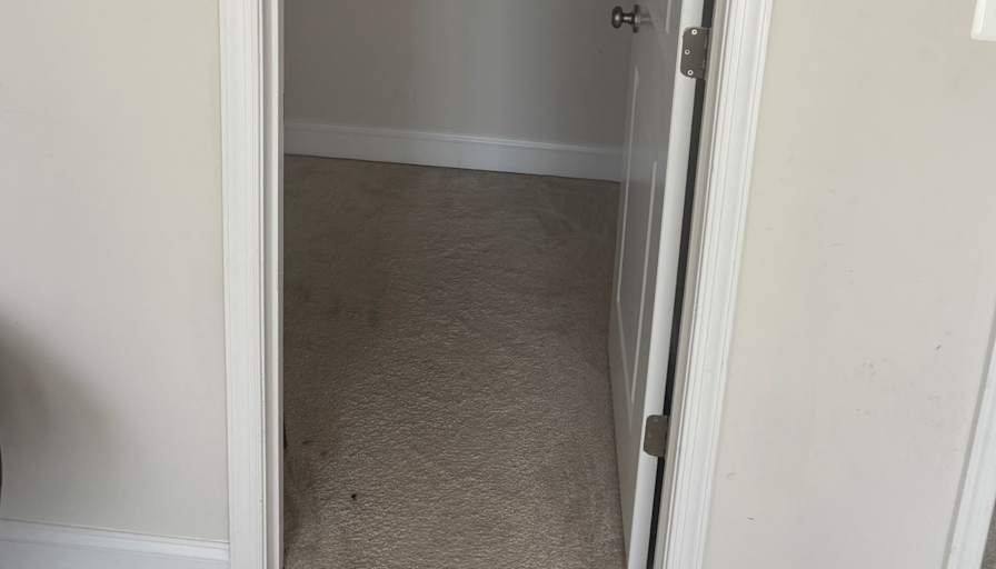 Tely's room