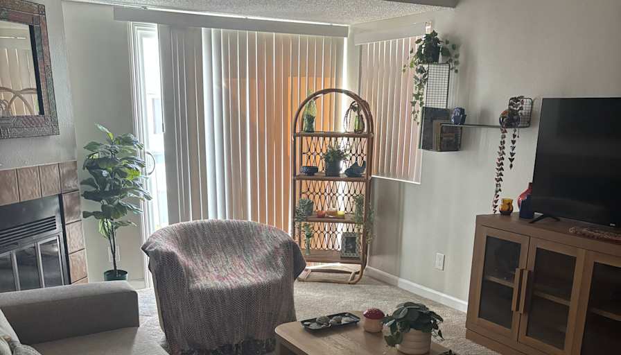 bella's room