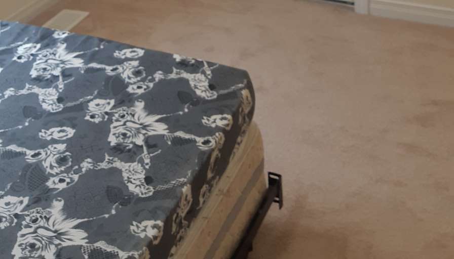 Shaheen's room