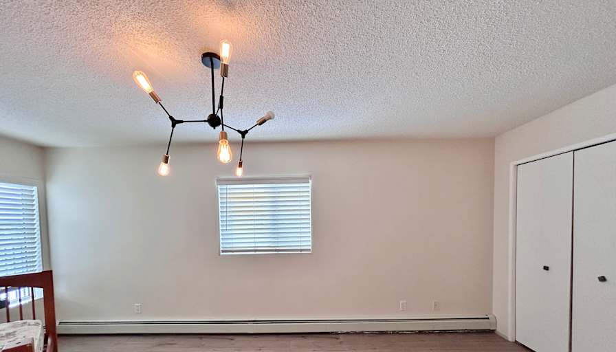 Sun's room