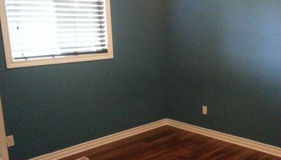 Shawn's room