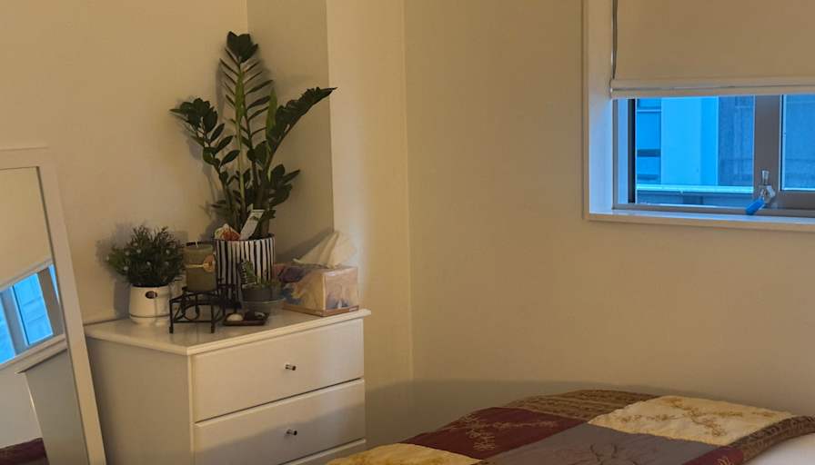 Caz's room