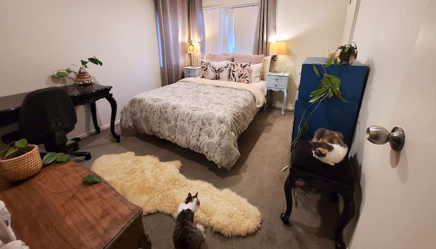 Tanna's room