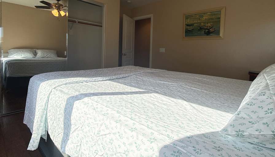 maggie's room