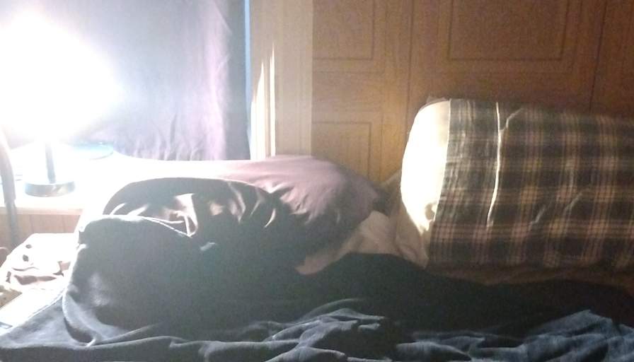 Cat Pasquale's room