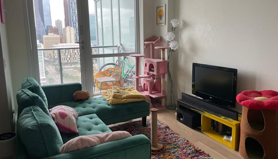 Alison Elewa's room