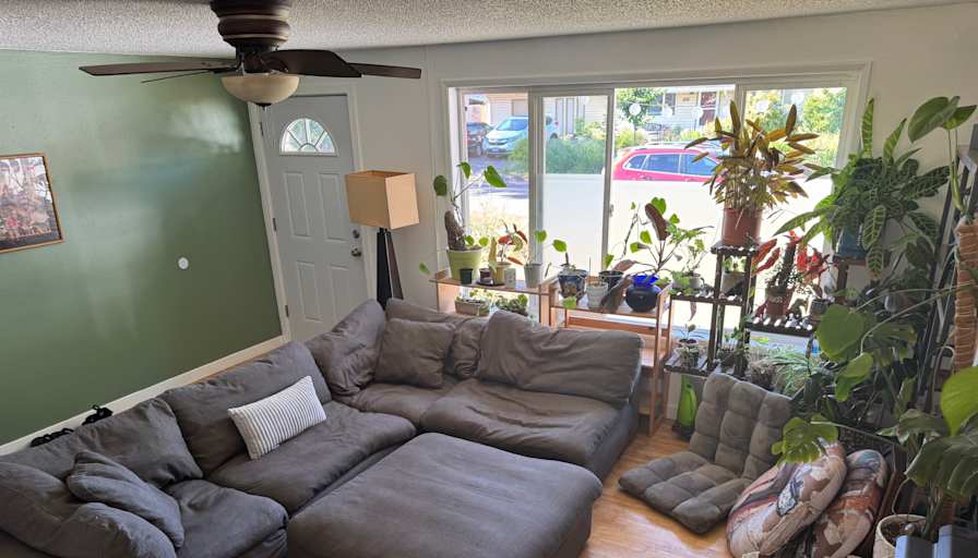 Dana's room