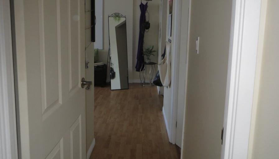 Shelley's room