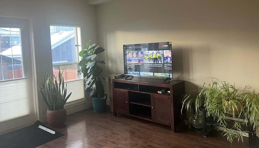 Freddie's room