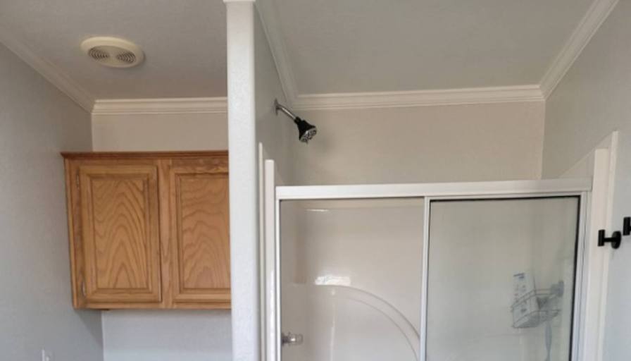 Tania's room