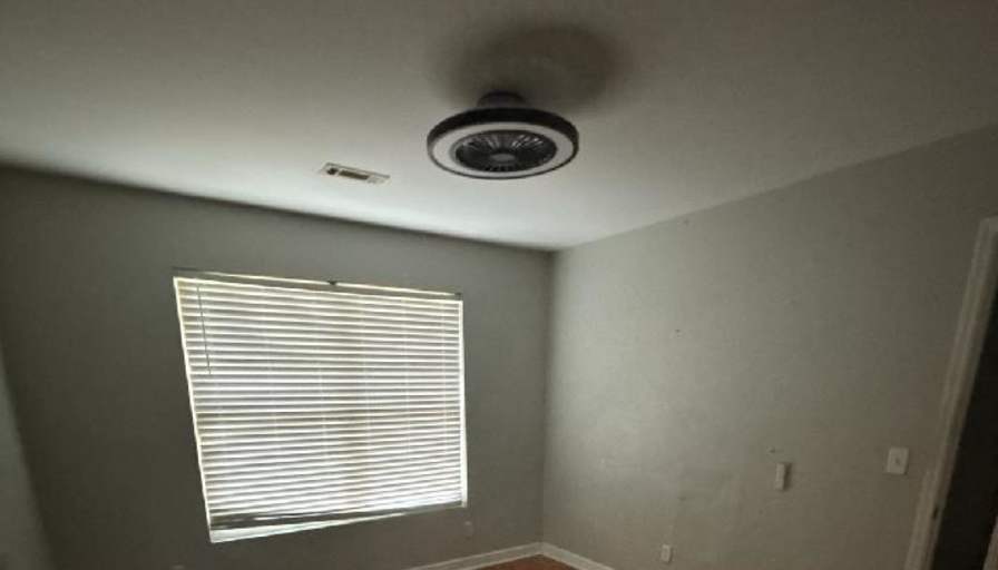 Dani's room